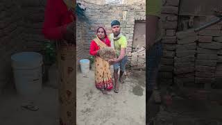 papa Bandar mama ko biscuit de do #funny #baby #monkey #so #cutebaby