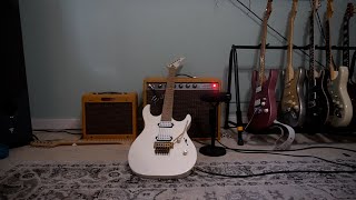 Kieselcarvin Dc600 & Princeton Reverb With A Brand New Celestion Alnico 90W Cream 12.
