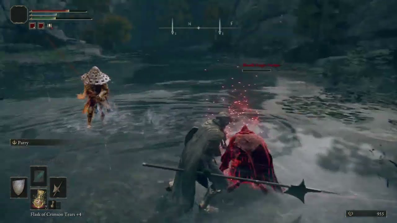 ELDEN RING invaded fight between the rocky cliffs 