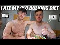 I Ate My Old BULKING DIET For 24 Hours *4000+ CALORIES*