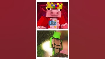 #minecraft #technoblade #dream