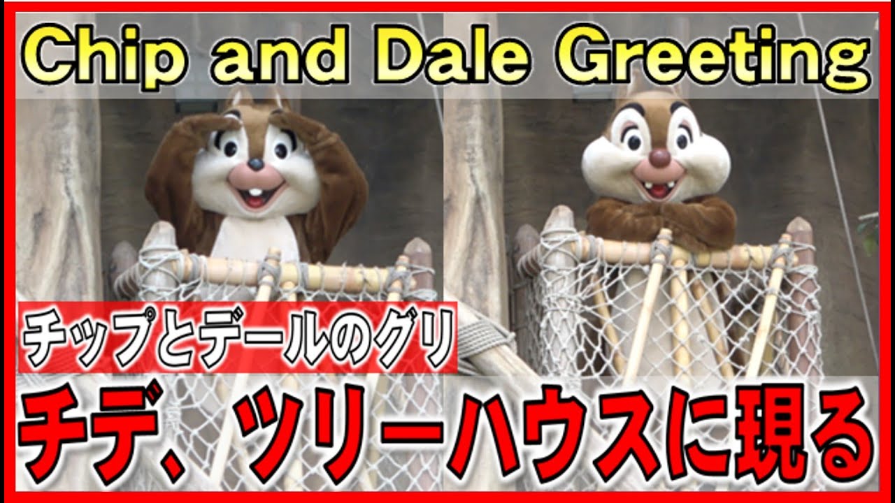 ºoº Tdl 木登りするチップとデールに出会える東京ディズニーランド ツリーハウスグリーティング Meet Chip And Dale At Tokyo Disneyland Tree House Youtube