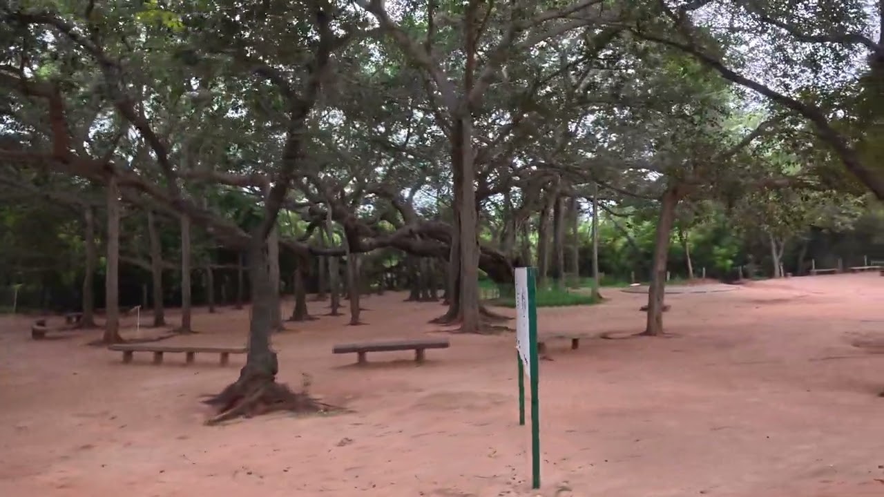 2025 11 South India Trip 050 Pondicherry Sri Aurobindo Ashram 20251127164913_0181