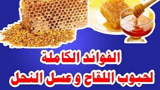 العلاج بحبوب اللقاح وتعرف على ألوان عسل النحل Treatment with pollen and and the colors of honey bees
