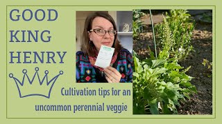 Good King Henry, a Perennial Food Crop: Tips for Cultivation