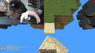 Cat Reacts To Insane Bridging