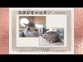 保護部屋の日常♪ ♯2026-043 5.24の保護部屋 〜千夏ちゃんとけんちゃんを撫でくりまわす会〜