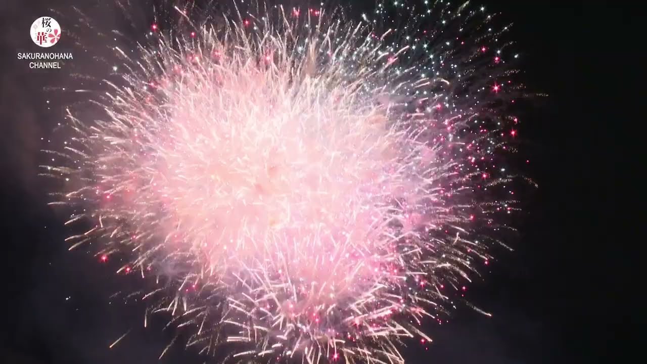 8月10日「2024神宮外苑花火大会」が神宮外苑で開催されました 8月10日「2024神宮外苑花火大会」が神宮外苑で開催されました