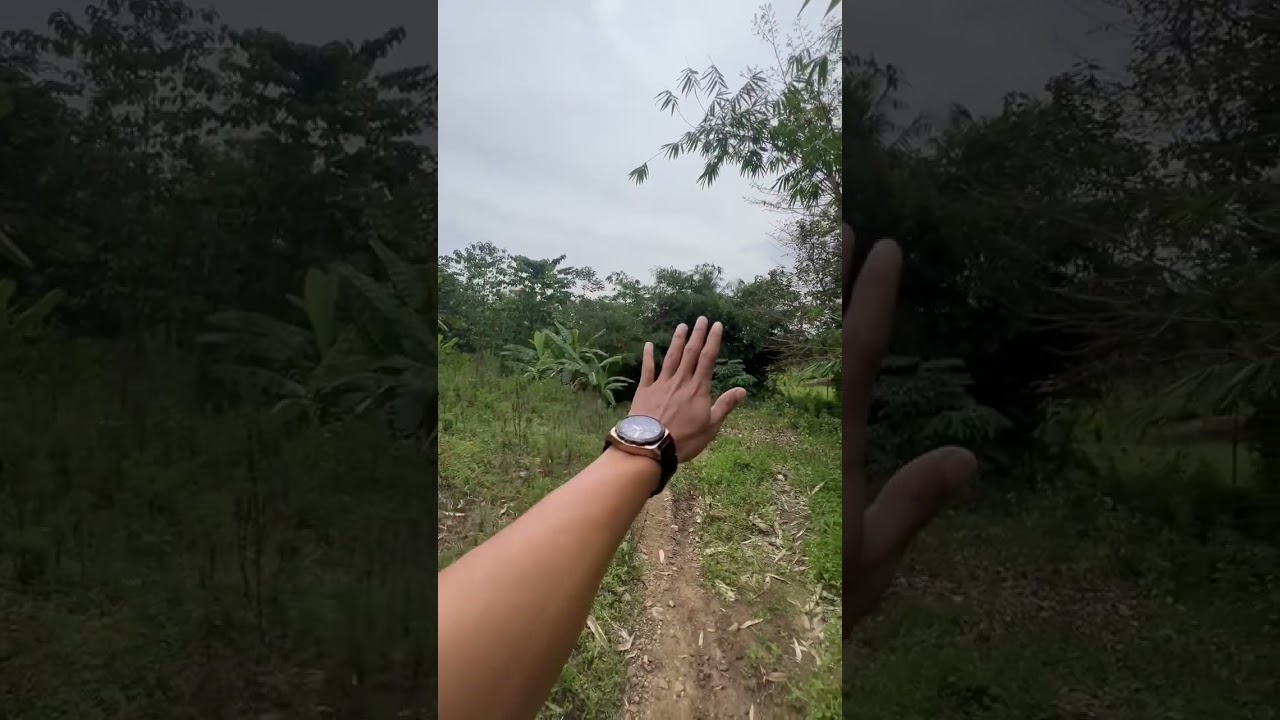 Di jual tanah luas 20 sampai 100 hektar harga 45 ribu nego sampai jadi surat2 sppt/girik