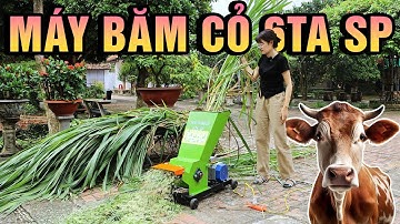 Máy Băm Cỏ Gia Đình 6TA SP Băm Nhỏ Hết Tất Cả Năng Suất 8 Tạ Một Giờ Với Ưu Đãi Giảm Ngay 500K