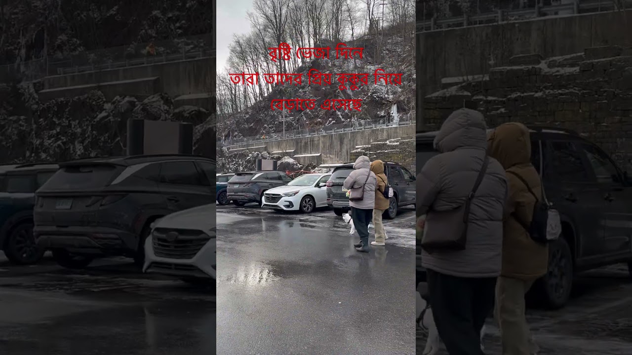 প্রিয় কুকুর