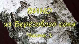 видео Вино из берёзового сока в домашних условиях