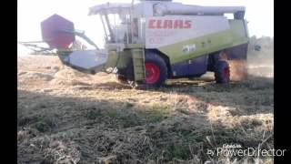 Moisson d'orge 2016