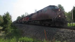 CP 240 With a Nice Consist