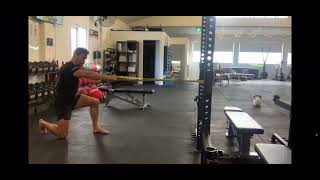 Half Kneeling Single Arm Row with Rotation demonstration