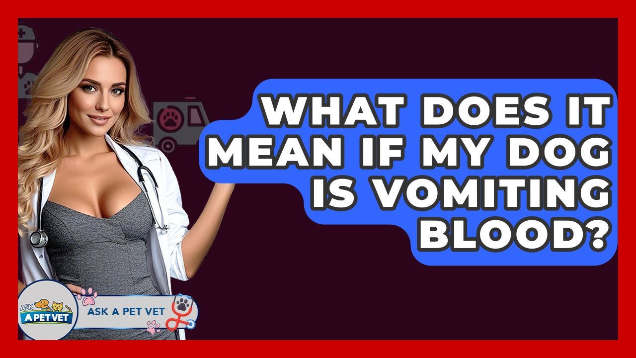 What Does It Mean If My Dog Is Vomiting Blood? - Ask A Pet Vet