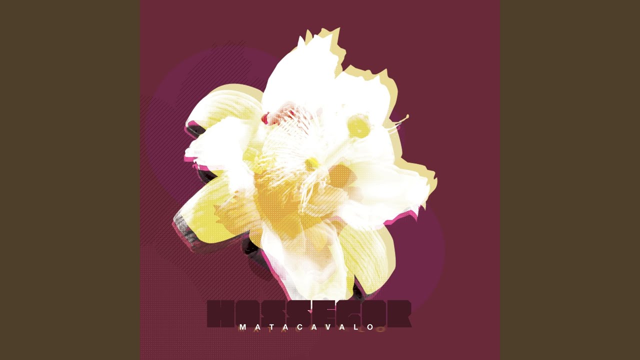 Watch Jimmi on YouTube Watch Jimmi on YouTube