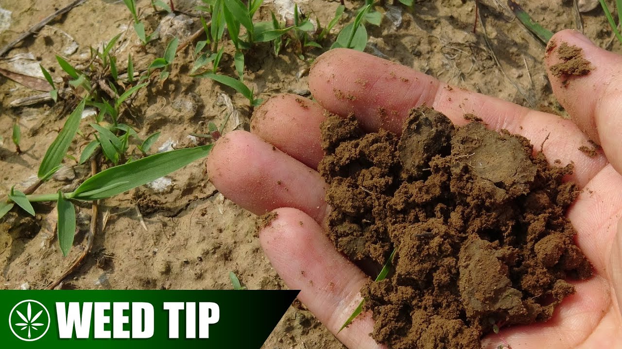 Post-Harvest Clean Up Tips