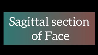 SAGITTAL SECTION OF FACE. #youtube #1styearmbbs #mbbs #anatomy #hnf