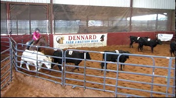 Valley View Ranch - Miss Beefmaster - sorting - ranch hand class