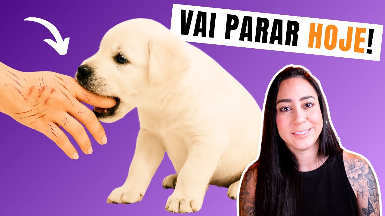 Guia Definitivo: Como fazer o filhote PARAR DE MORDER (comprovado!)