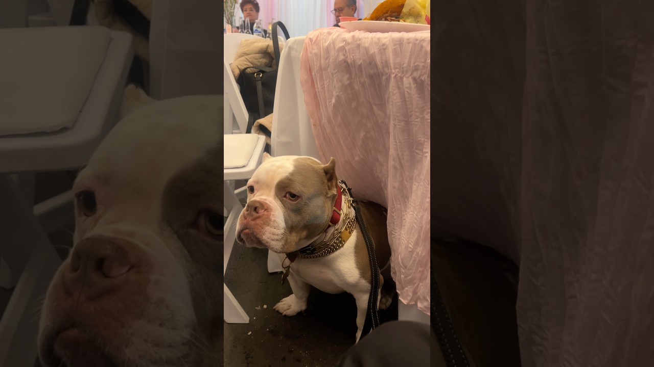 Attending a baby shower on a Monday in El Sereno 