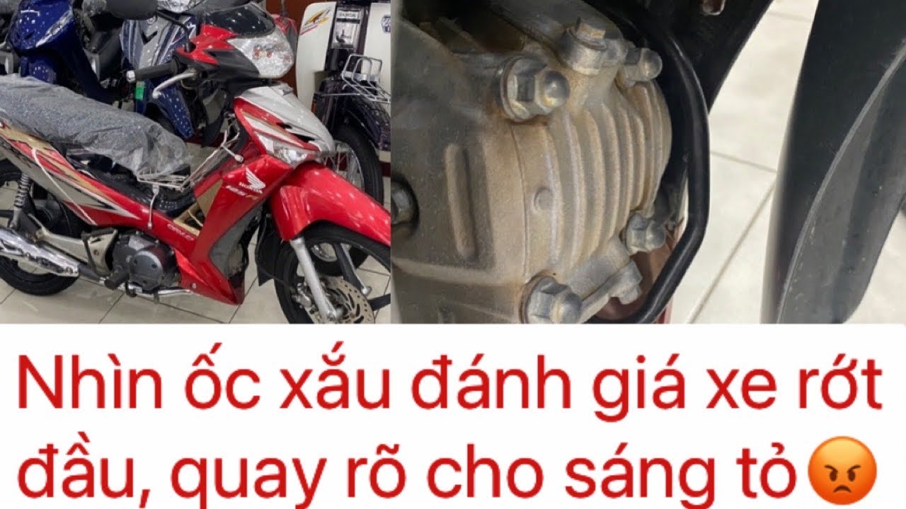 Futurex fi ốc xắu bị thợ vườn nói rớt đầu, quay kỉ sáng tỏ cho ae biết thêm 0945465717 FB HOÀNG MẾN