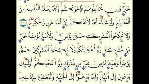 (6) سورة البقرة من 216 الى 221