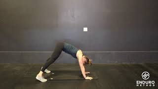 Downdog Toe Touches