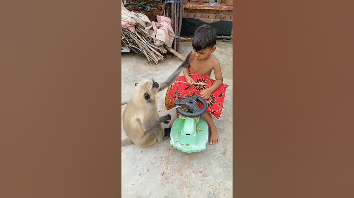 monkey's Emotional video 😱#shorts