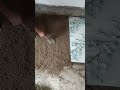 Floor Tiles Fittings 🔥🫥#shortsvideo #tiles #floortilesdesign