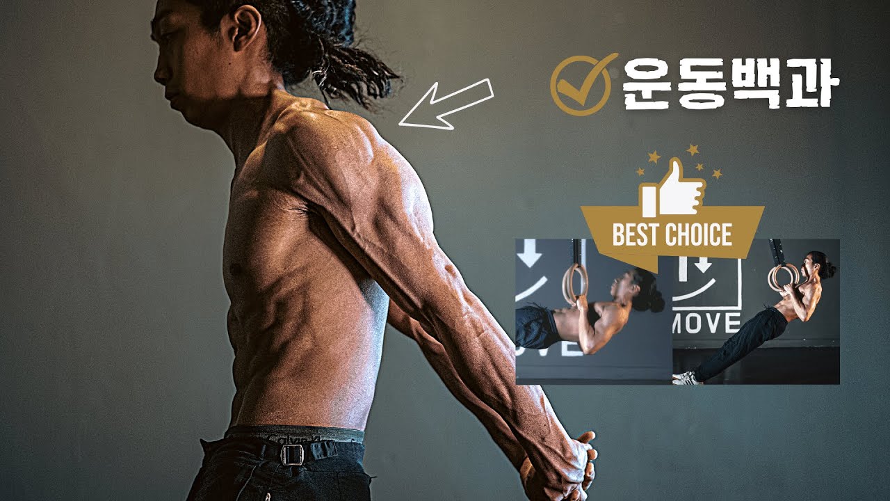 절대 놓치지 말아야 할 BEST 등 운동은?? | 어깨 안정화 & 근력향상 | 운동백과 with 마스터 최 | 링 로우, 인버티드 로우