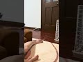 川の動画を見る息子👶