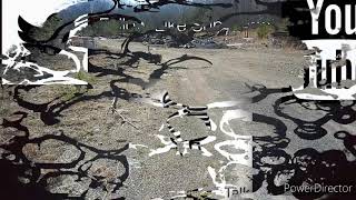 Worldview Thinking Is Not Always Smart....