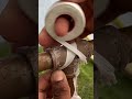 Never replace broken pipes again after seeing this #PlumbingTips #PVCRepair #WorkshopHack
