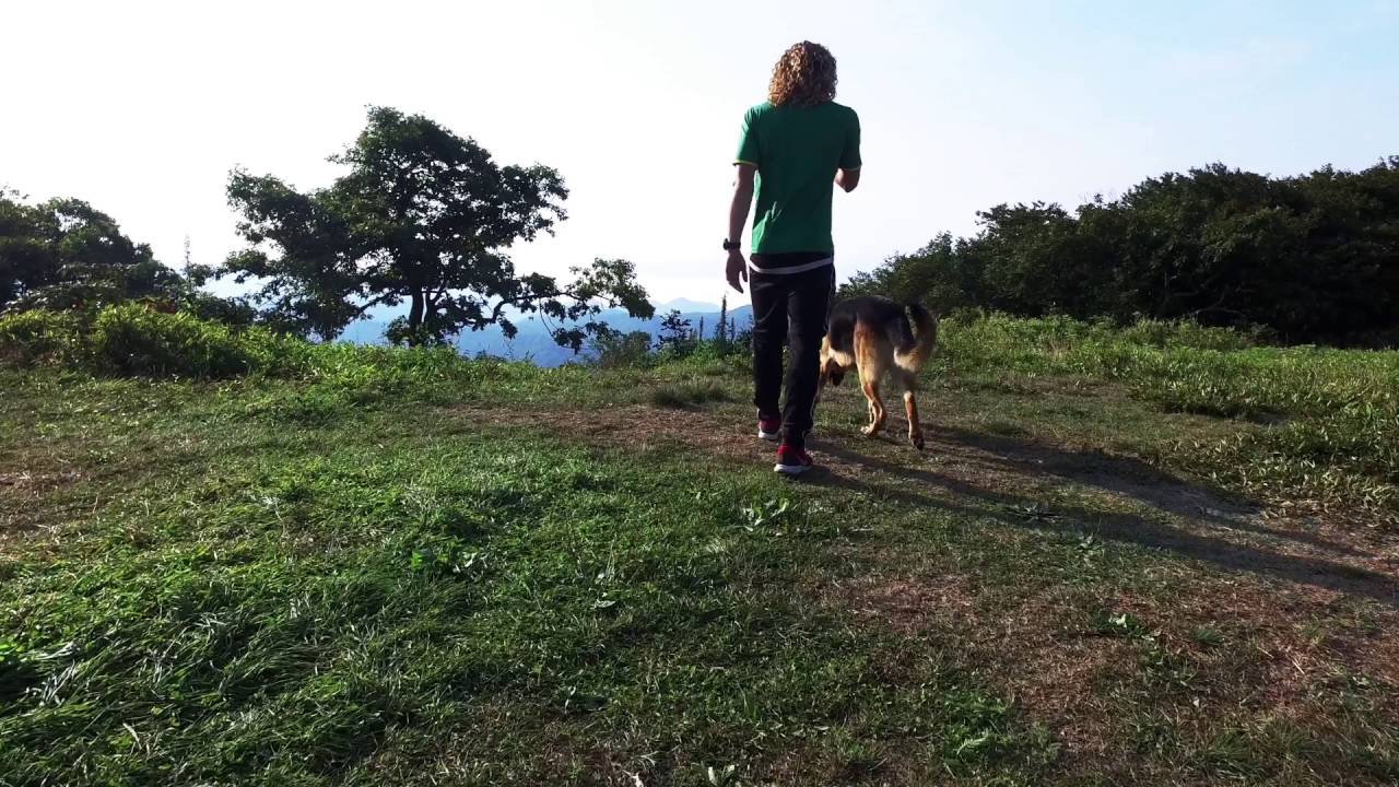 Summer Adventure: Truck and Bike raging!