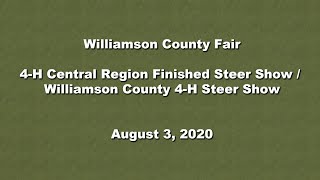 2020 Williamson County Fair - 4-H Steer Shows