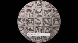 Developer - Zodiac Talking - Archive 09 LP - [DEVELOPER009] - 2018