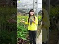 Giao Hàng Chỉ Từ Một Cây, GIAO TẬN NHÀ DÙ NẮNG HAY MƯA