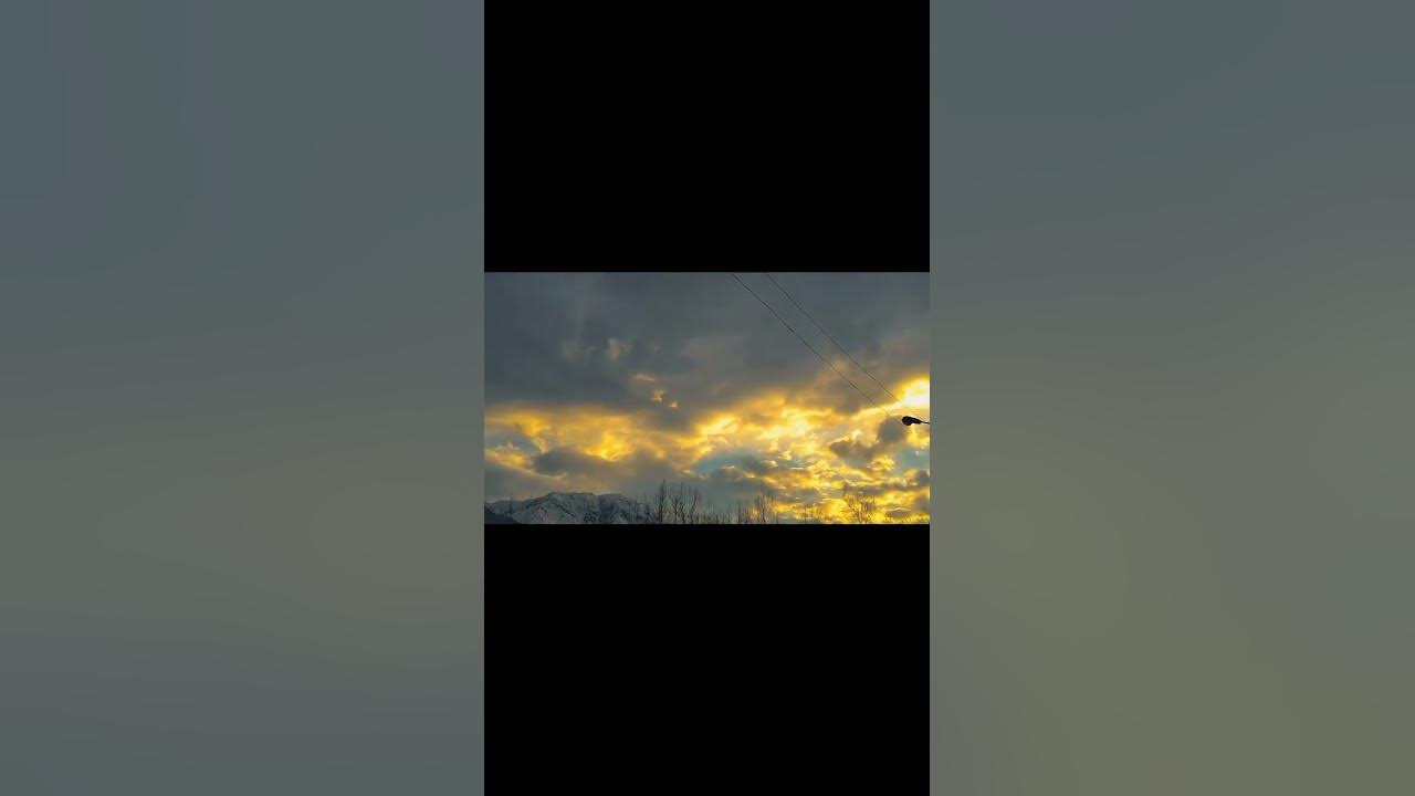 View+ - YouTube