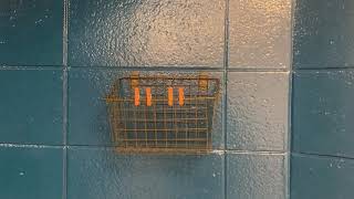Restroom Procedures