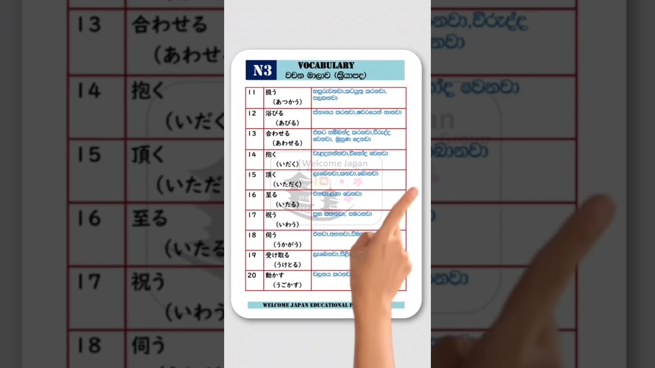 N3 Vocabulary (1-40) #japan #exam #n3 #fyp #vocabulary#japanesegrammar