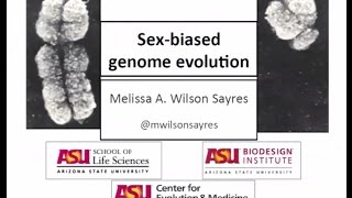 Dr. Melissa Wilson Sayres “Sex-biased genome evolution” May 11, 2017