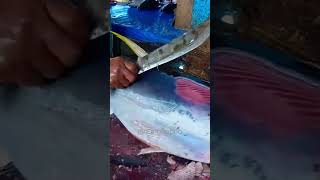 Famous How to Clean Tuna Fish Scales and Fins before slicing #shorts Profile