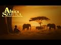 Mansur Simuka Africa Amapiano Vibes 