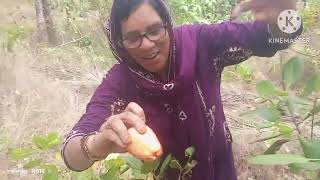 എനറ അഡപറSabira Vlog2026, ഏപരൽ 18