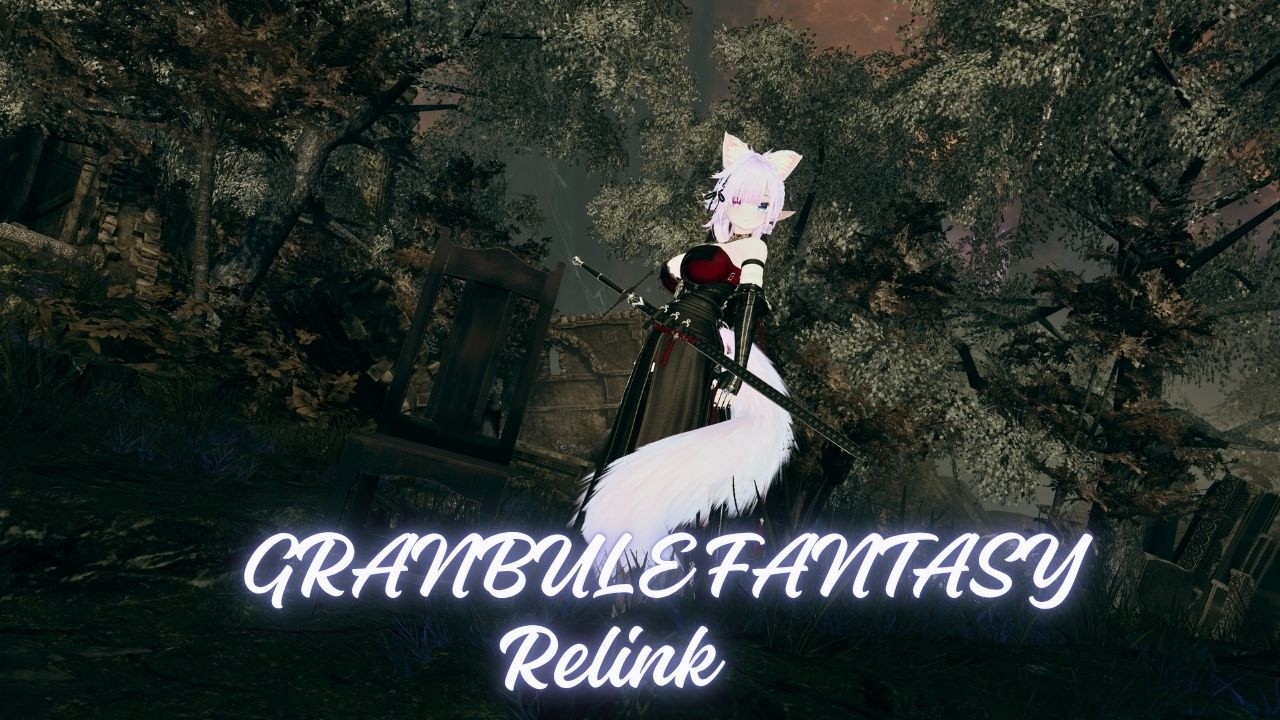 パート11:GRANBULE FANTASY Relinkを初見で遊んでいくよ🐈 指負傷中💦