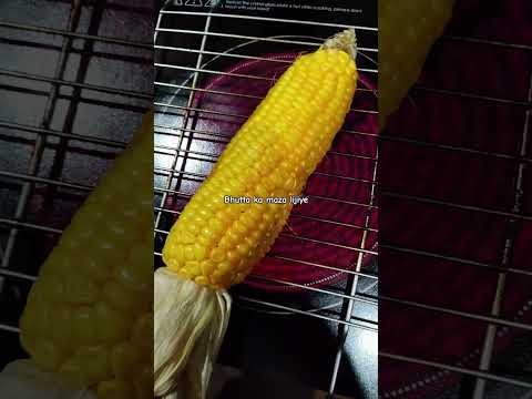 Bhutta ka maza lijiye #bhutta #shorts #vuralvideo #youtubeshorts #viral