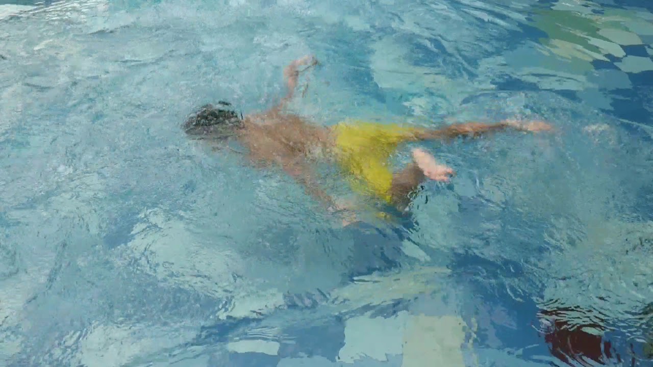 Buaya kuning 