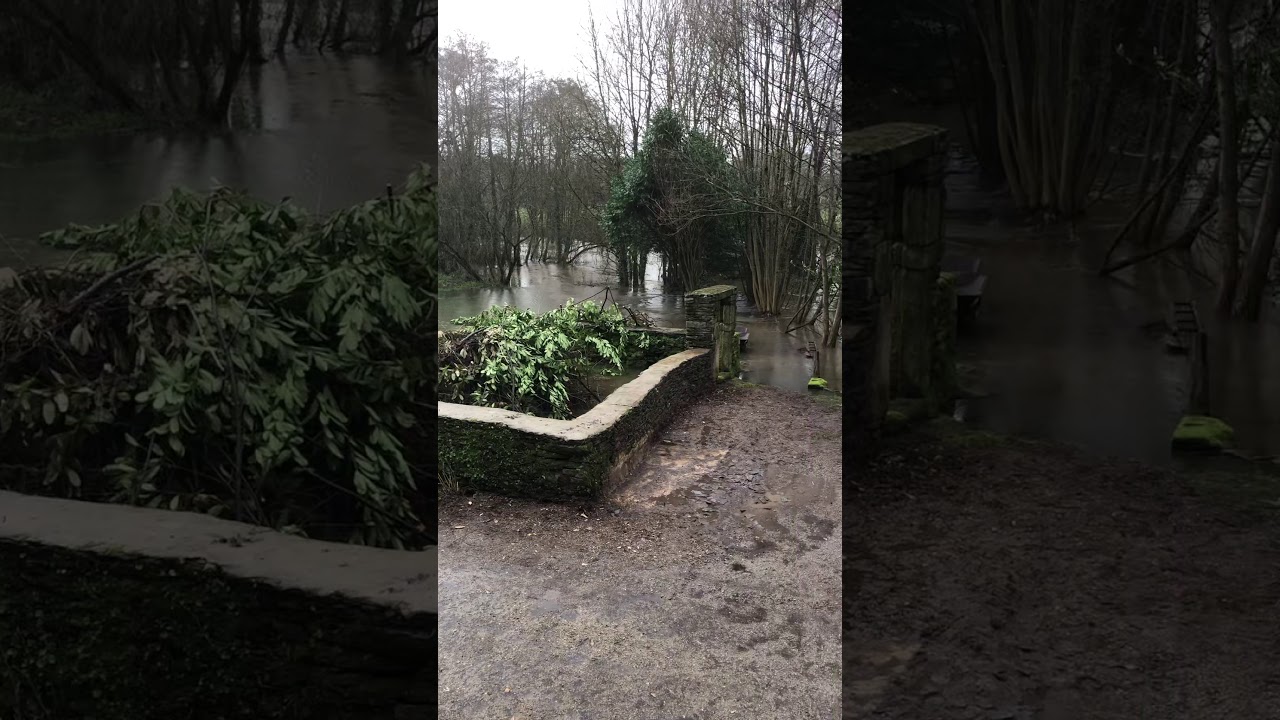 The 2019 unprecedented rain fall